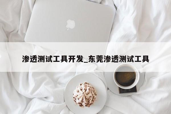 渗透测试工具开发_东莞渗透测试工具