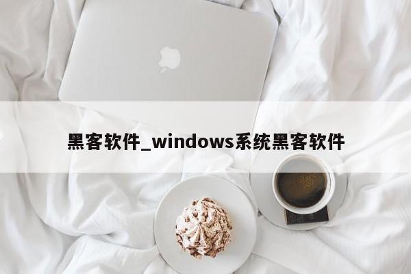 黑客软件_windows系统黑客软件