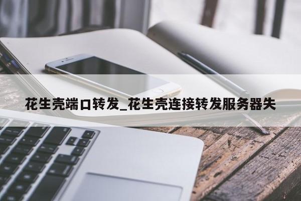花生壳端口转发_花生壳连接转发服务器失
