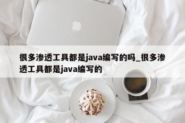 很多渗透工具都是java编写的吗_很多渗透工具都是java编写的