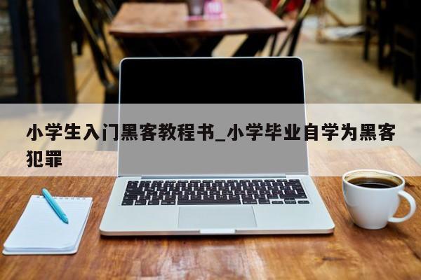 小学生入门黑客教程书_小学毕业自学为黑客犯罪