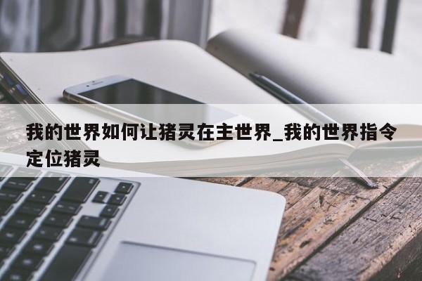 我的世界如何让猪灵在主世界_我的世界指令定位猪灵