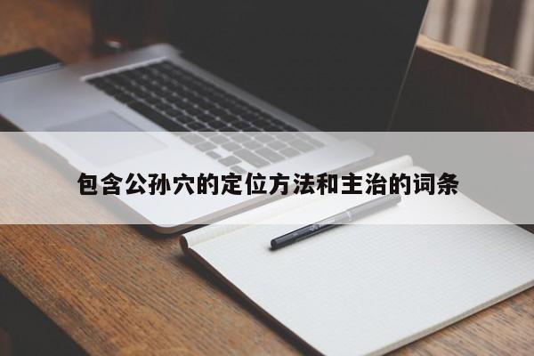 包含公孙穴的定位方法和主治的词条