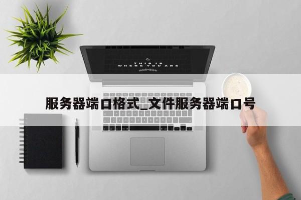 服务器端口格式_文件服务器端口号