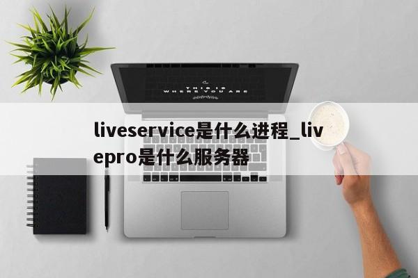 liveservice是什么进程_livepro是什么服务器
