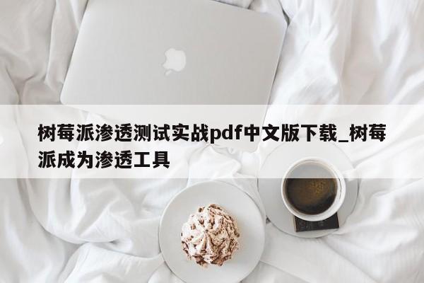 树莓派渗透测试实战pdf中文版下载_树莓派成为渗透工具