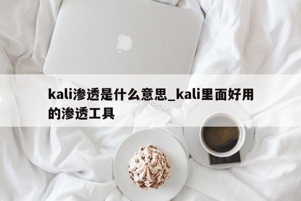 kali渗透是什么意思_kali里面好用的渗透工具