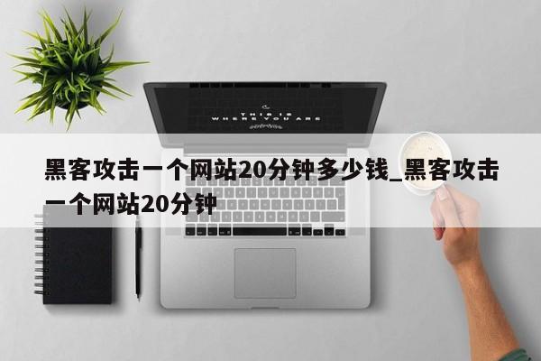 黑客攻击一个网站20分钟多少钱_黑客攻击一个网站20分钟