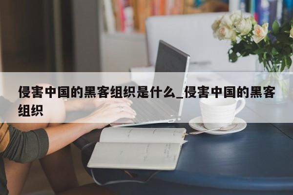 侵害中国的黑客组织是什么_侵害中国的黑客组织