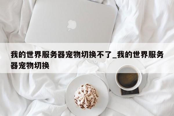 我的世界服务器宠物切换不了_我的世界服务器宠物切换